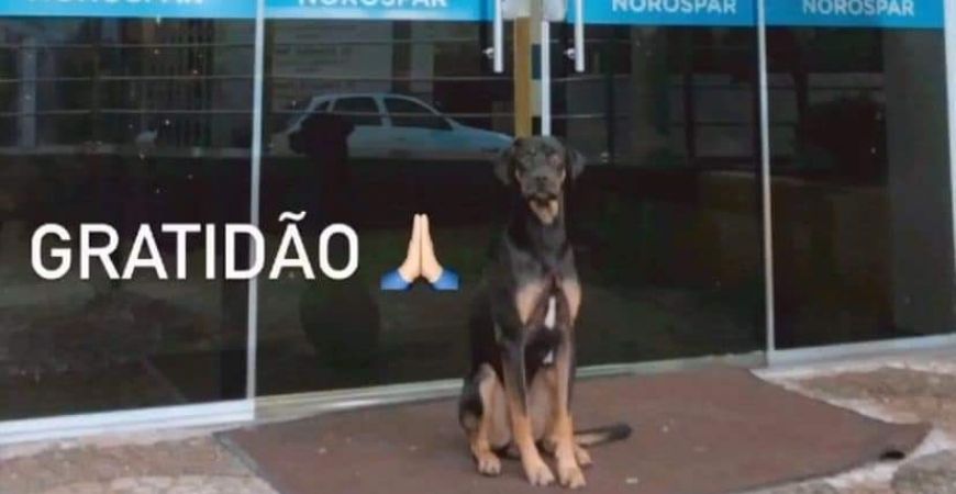Capa do artigo