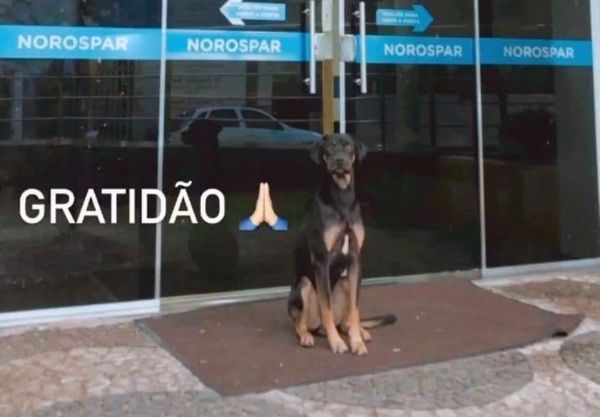 Capa do artigo