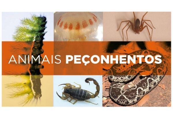 Capa do artigo