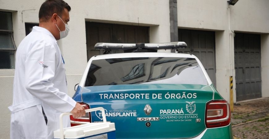 Capa do artigo
