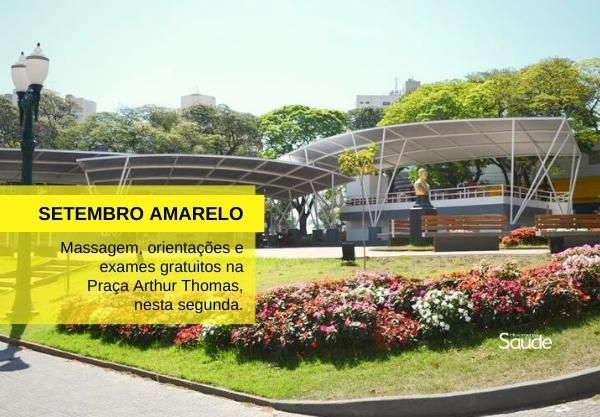 Capa do artigo