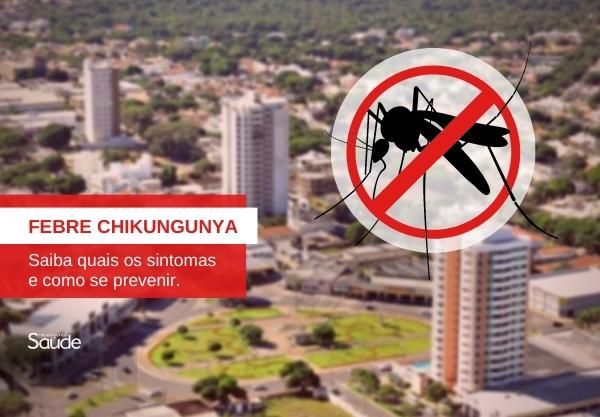 Capa do artigo