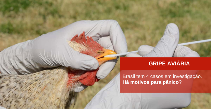 Capa do artigo