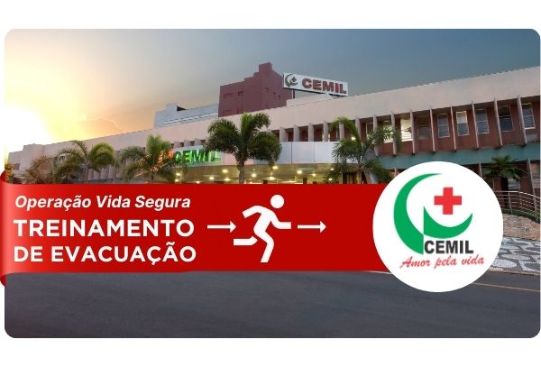 Capa do artigo