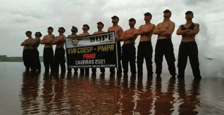 Capa do artigo