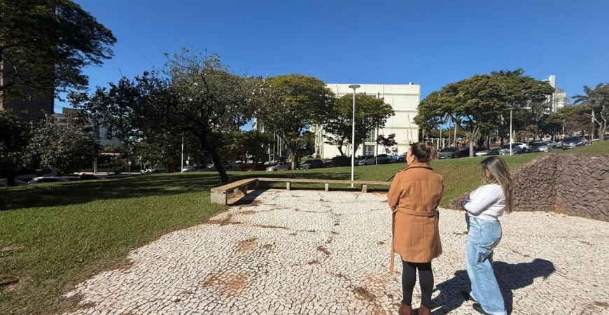Capa do artigo