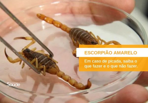 Capa do artigo